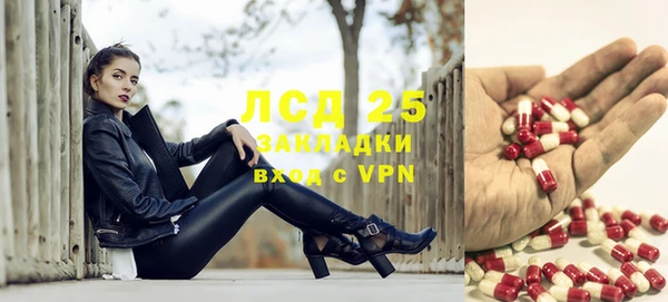 круглые Корсаков